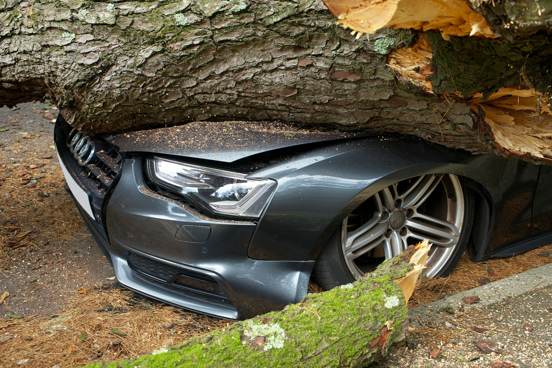 Young Insurance Agency - Auto Insurance
