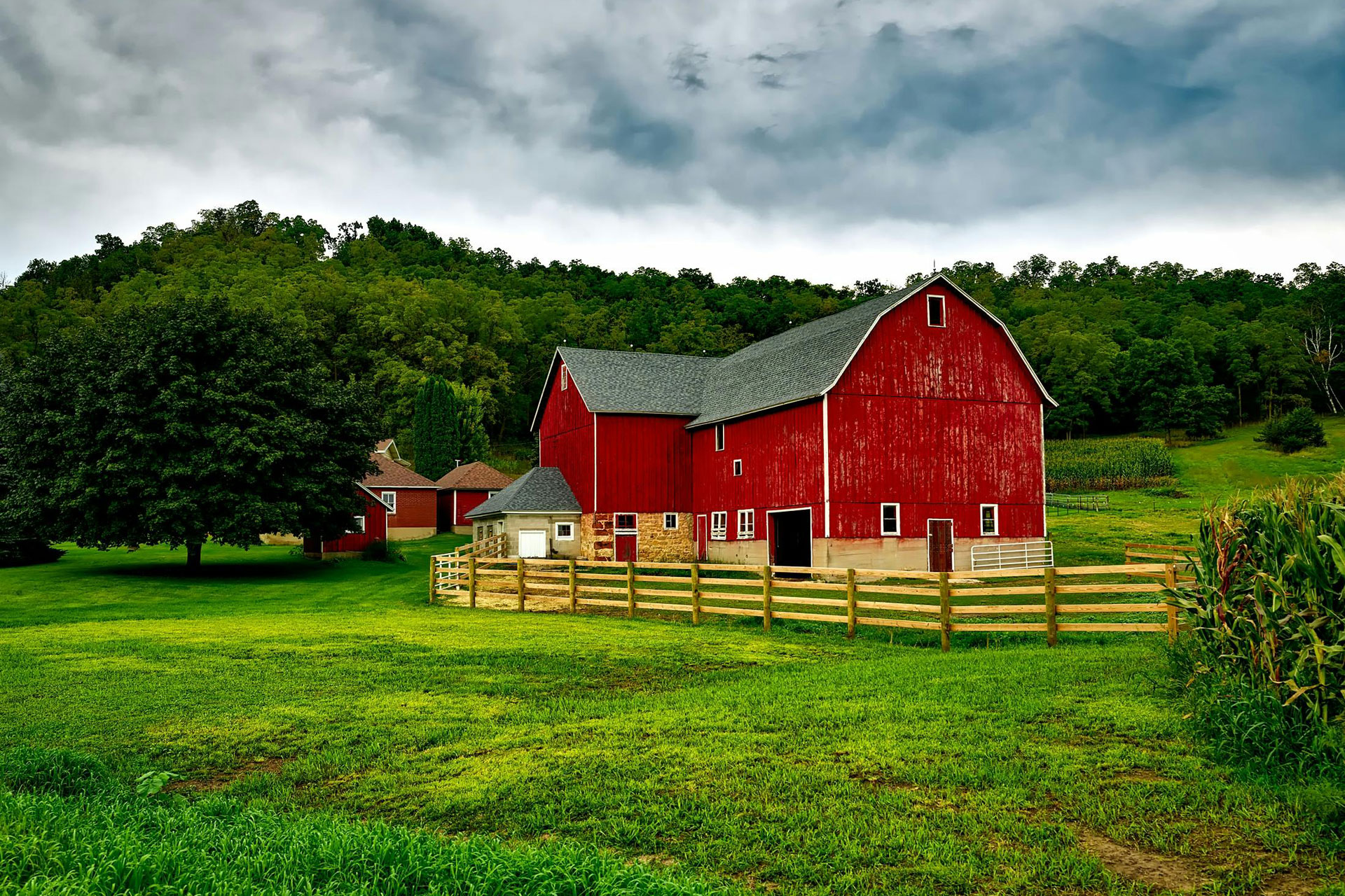Young Insurance Agency - Farm Insurance